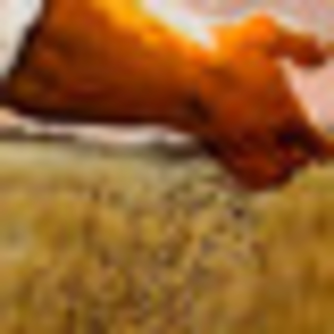 Palabra y Vida: Radio María Oficial