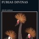Furias divinas 5
