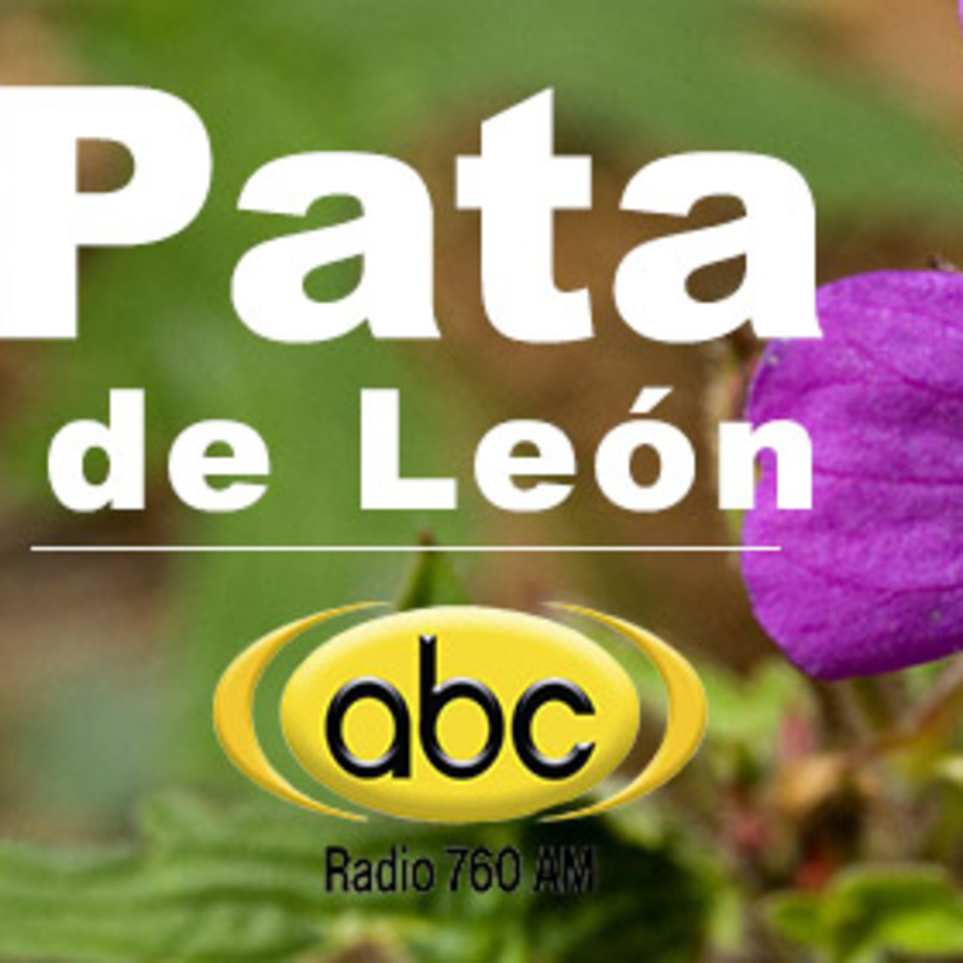 El Ángel de tu Salud - PATA DE LEÓN episode artwork