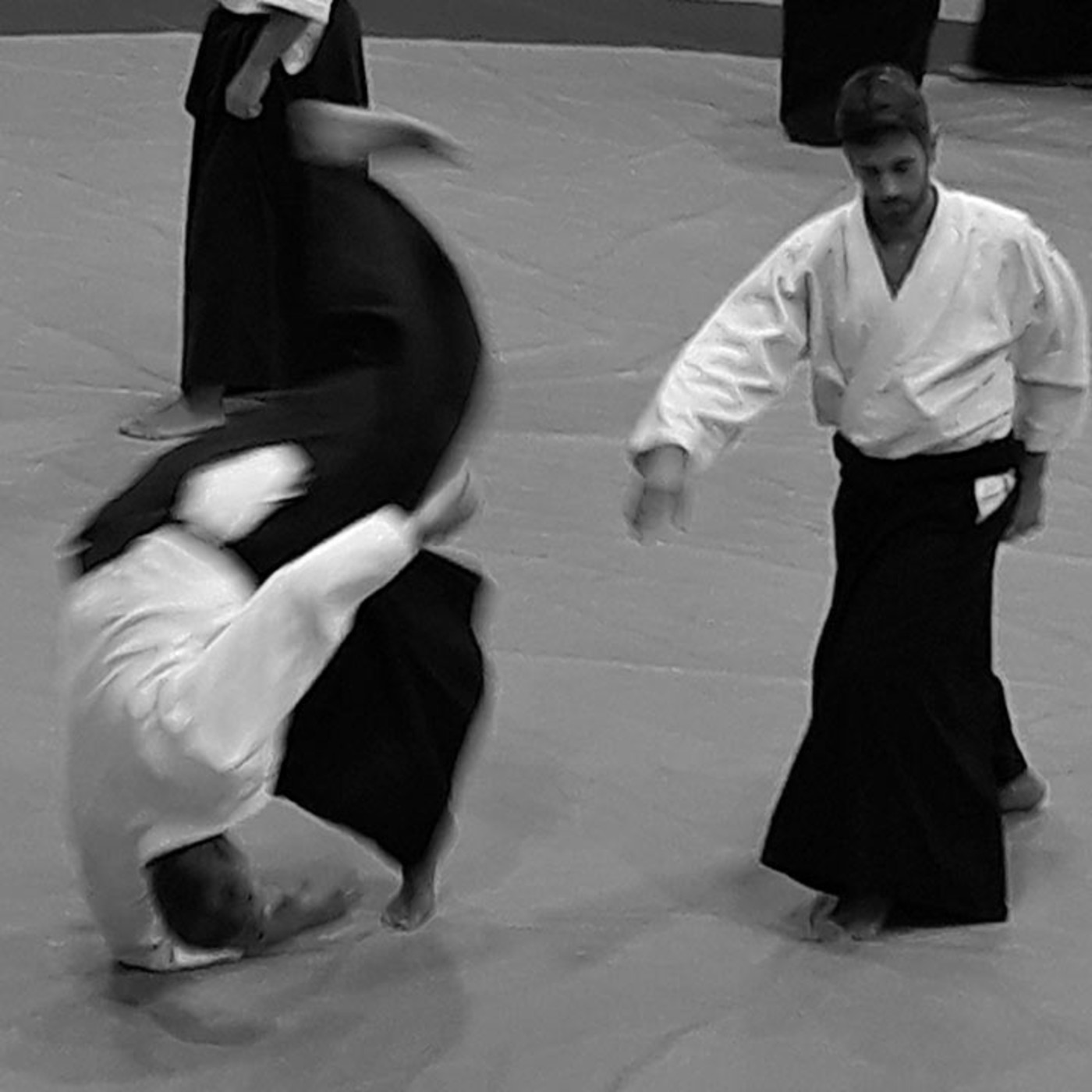 Dragonz | Artes Marciales y Deportes de Contacto