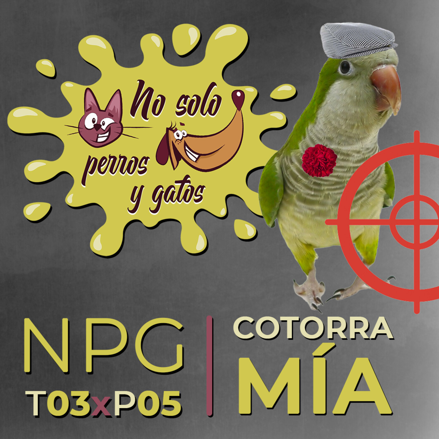 No solo perros y gatos