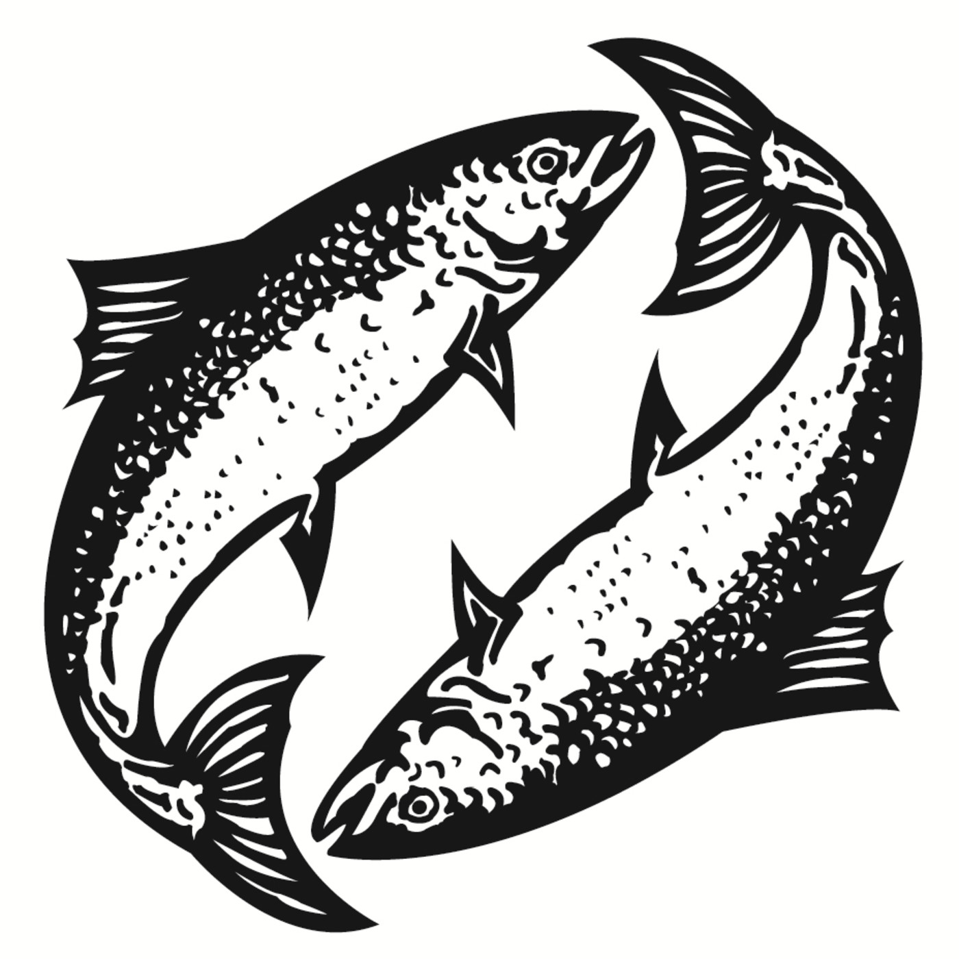 Rigor Morti's presents: Pick up latino gang in the park