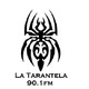 La Tarantela nº135