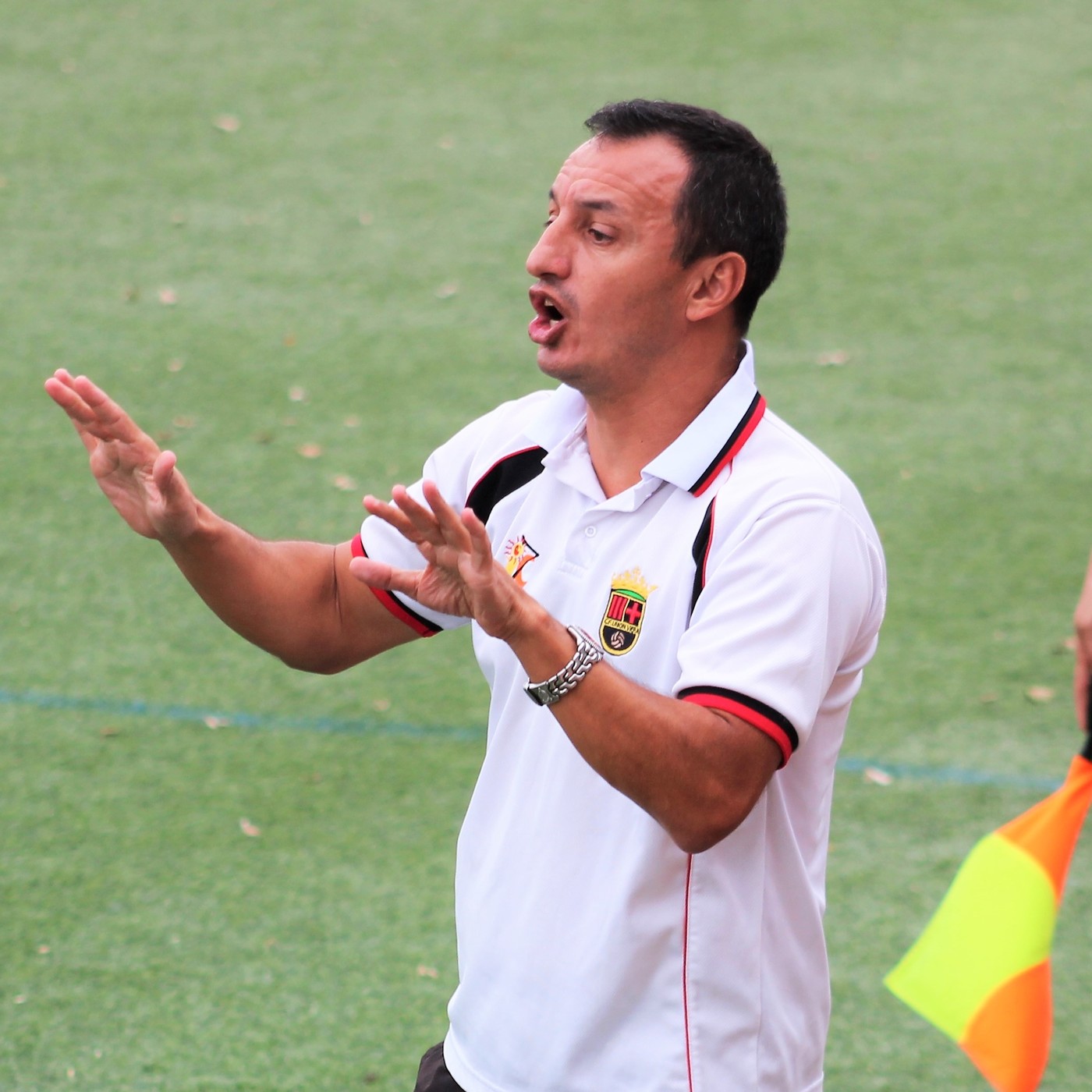 Unión Viera