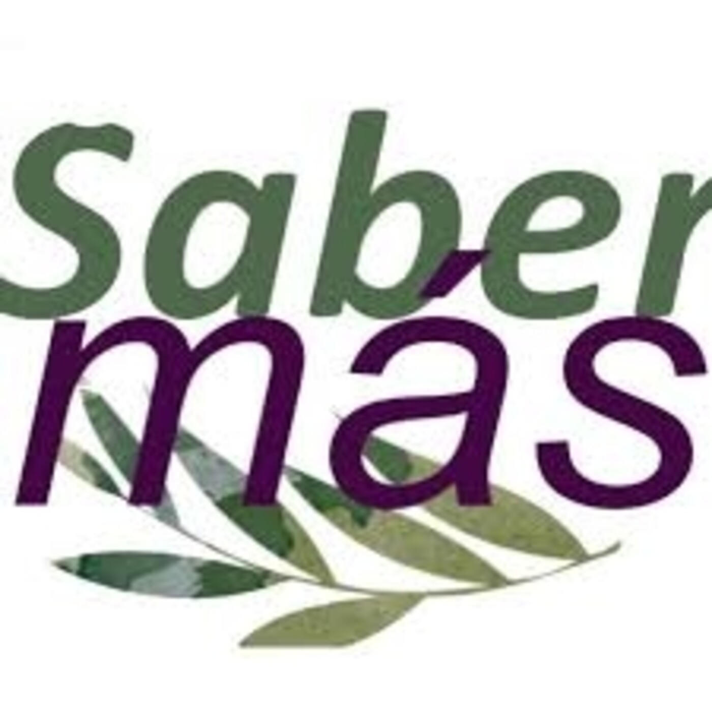 Saber Mas