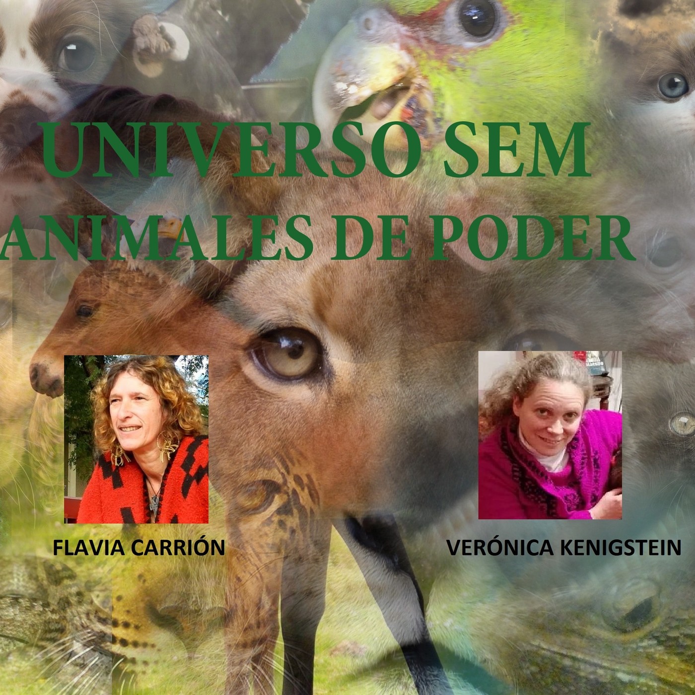 UNIVERSO SEM Secretos, Enigmas