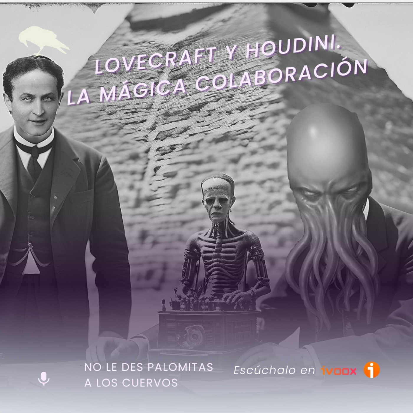 NO LE DES PALOMITAS A LOS CUERVOS