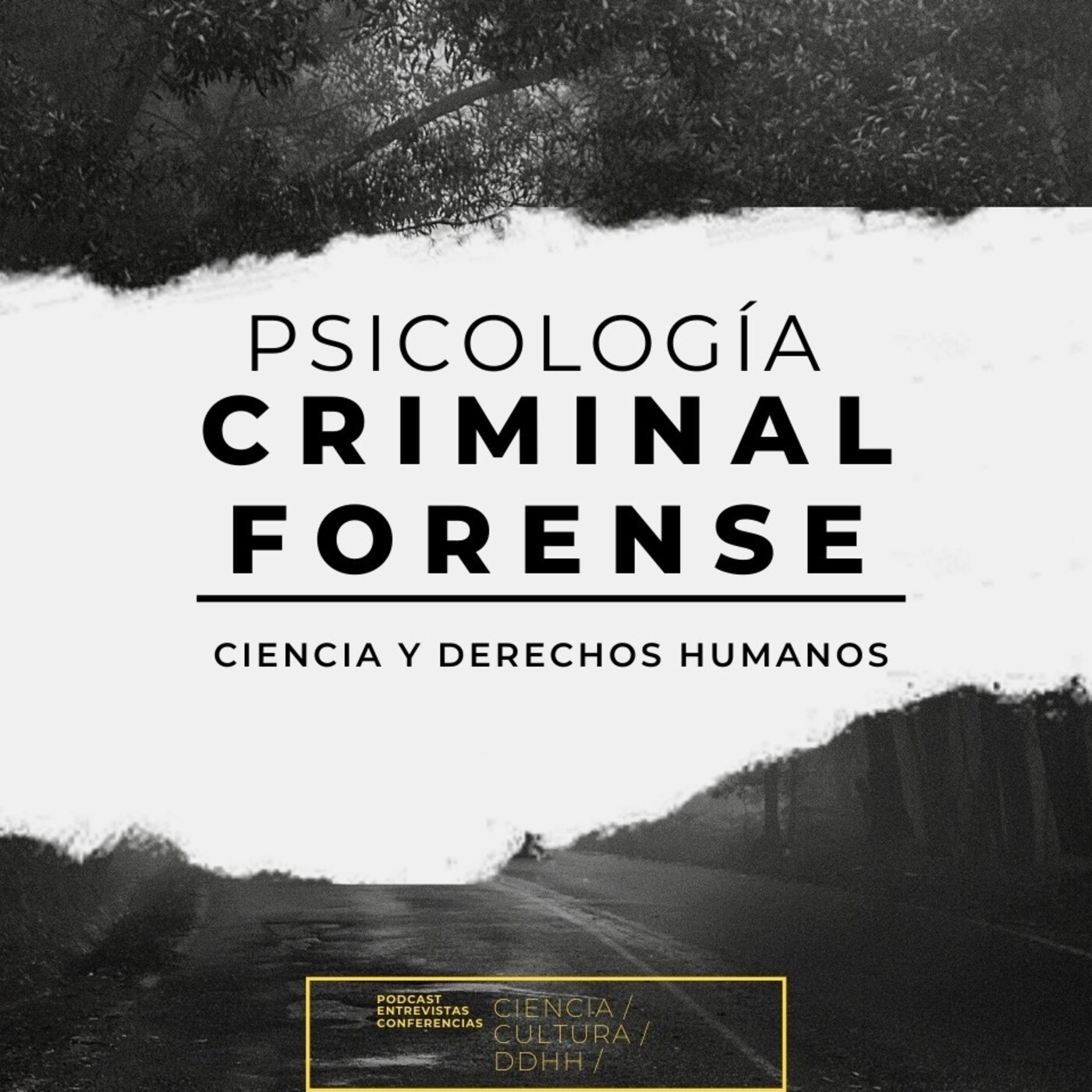 Psicología criminal y forense