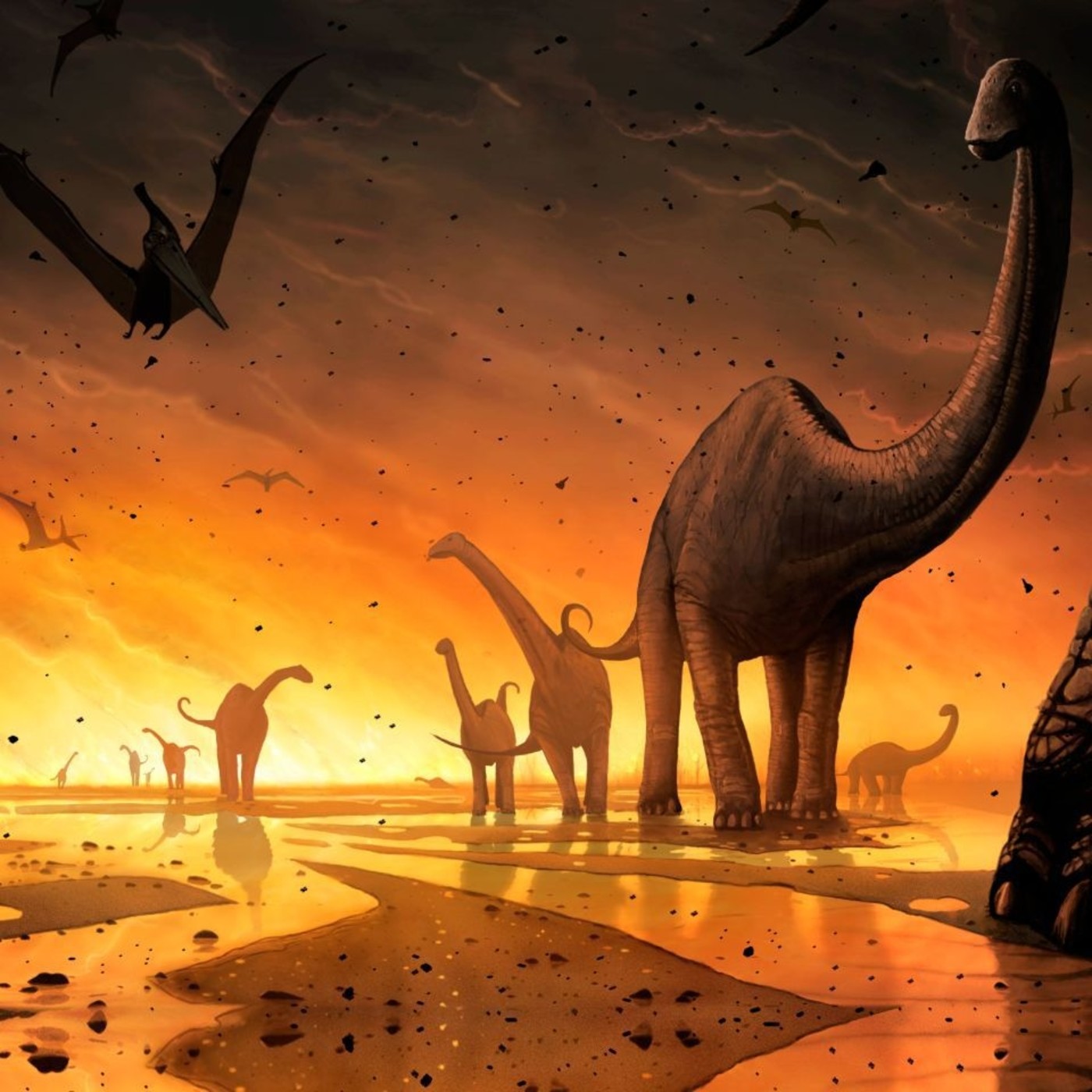 Raíz de 5 - 3x45 - Matemáticas y extinciones masivas de la Tierra. episode artwork