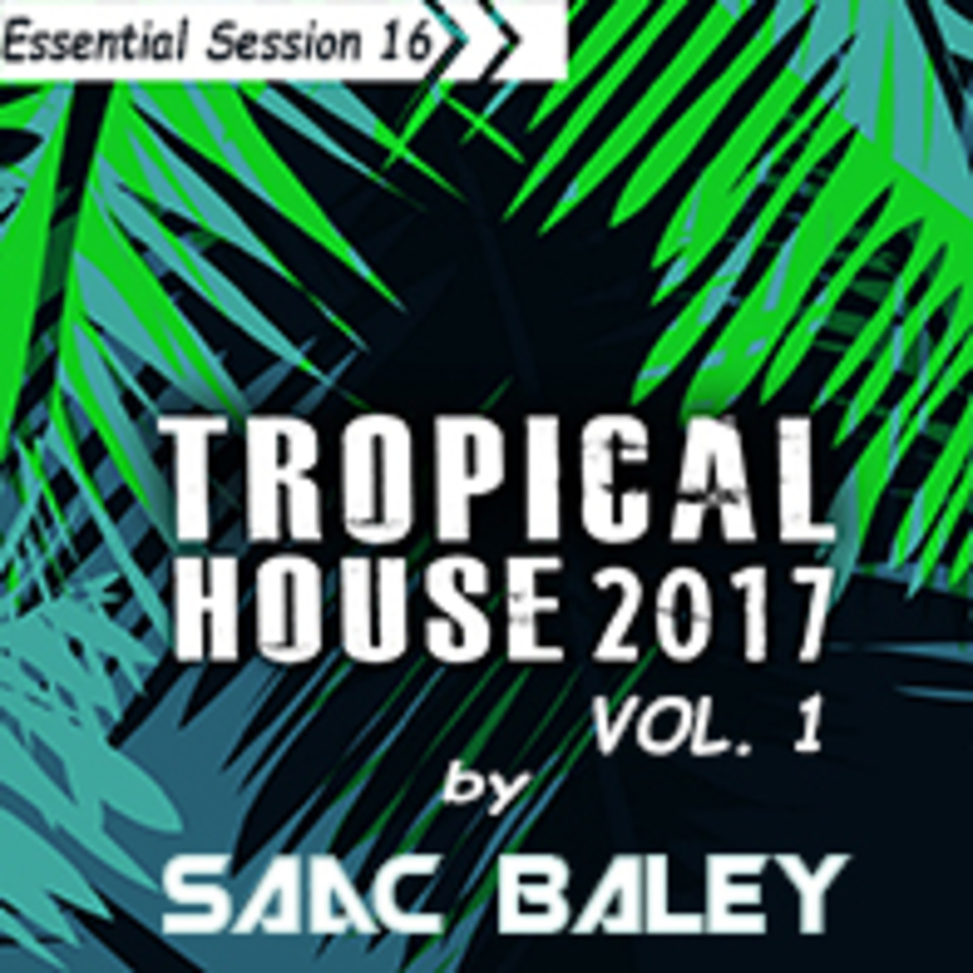 Essential Session by Saac Baley