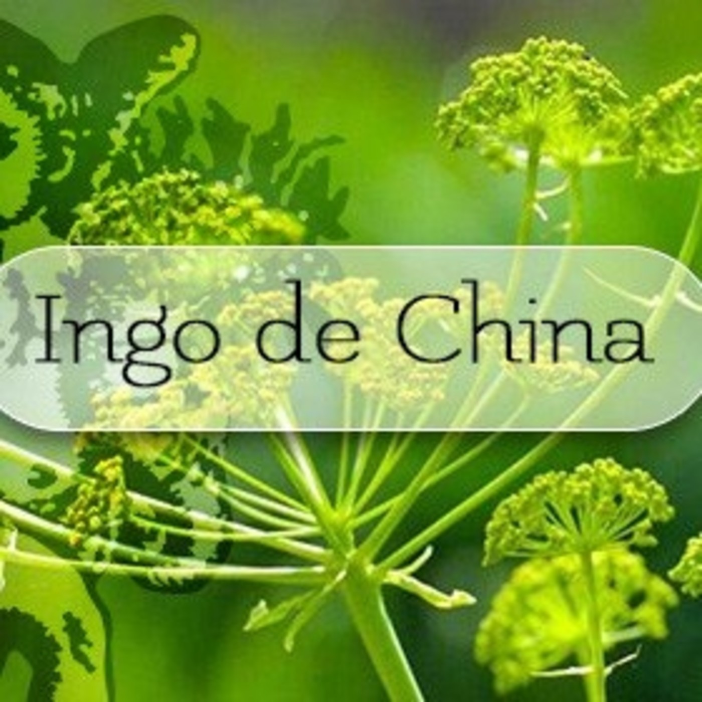 El Ángel de tu Salud - INGO DE CHINA episode artwork