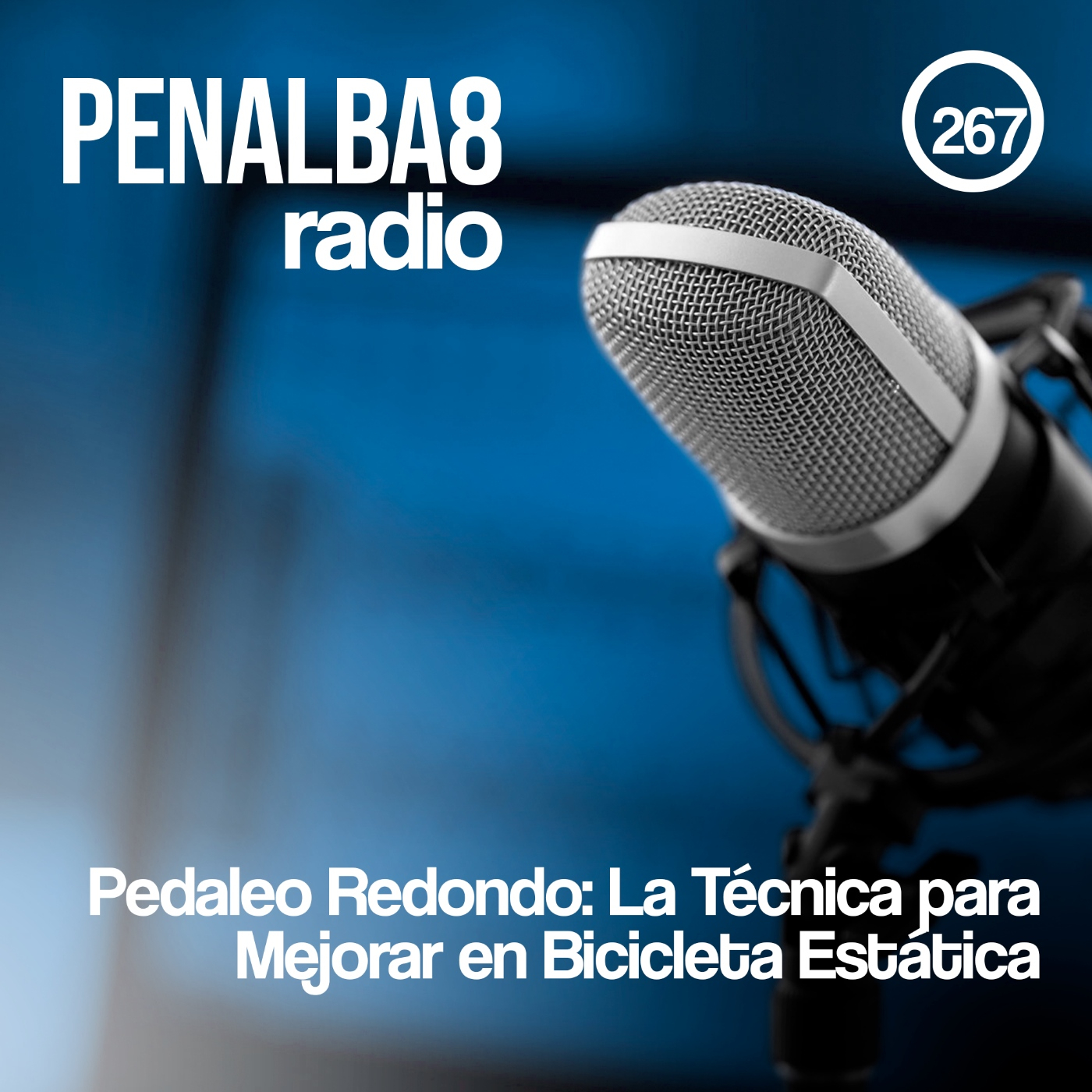 Penalba8 Radio