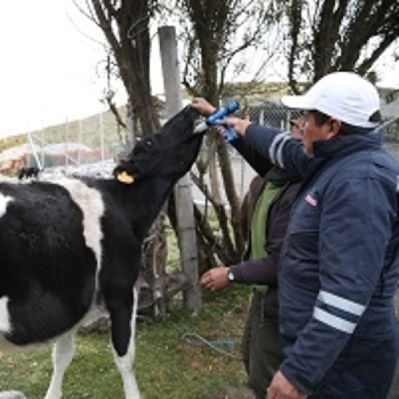 Podcast GADCHIMBORAZO