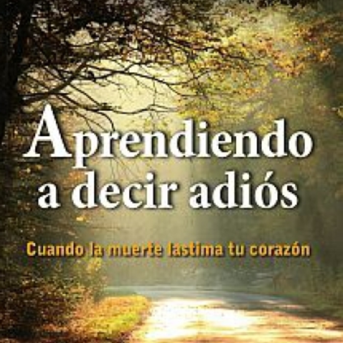 LA LIBERTAD DE LEER