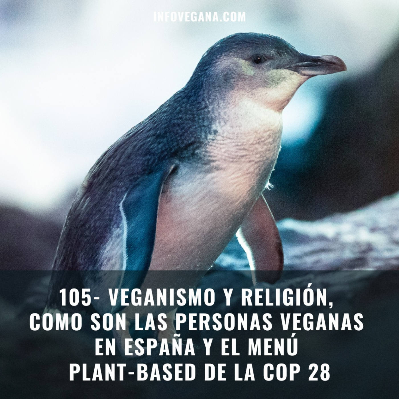 Infovegana, podcast de veganismo y sostenibilidad