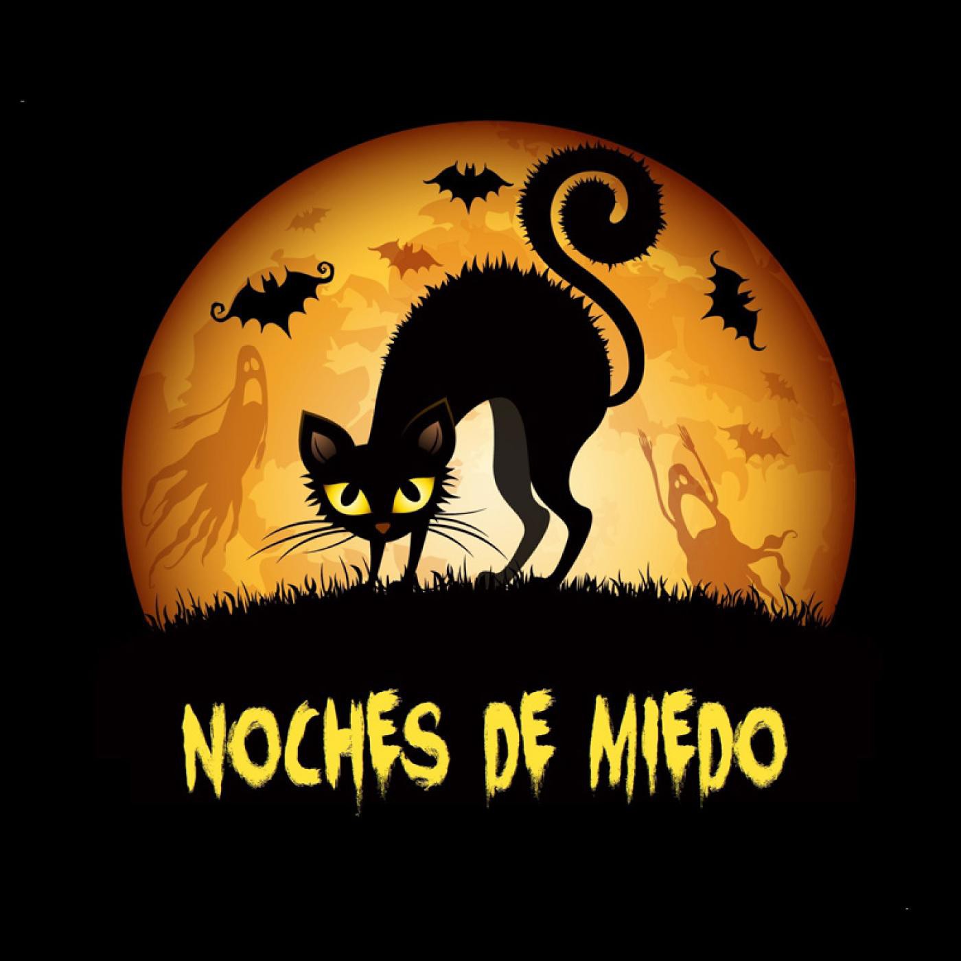 NOCHES DE MIEDO