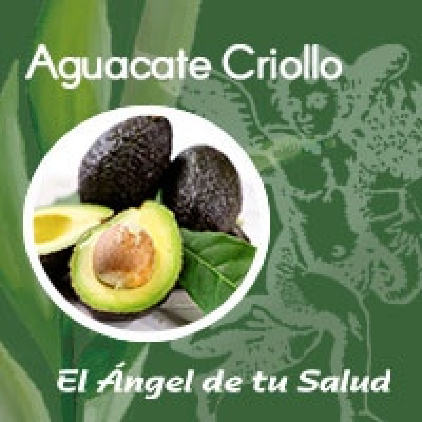 El Ángel de tu Salud - Aguacate Criollo** episode artwork