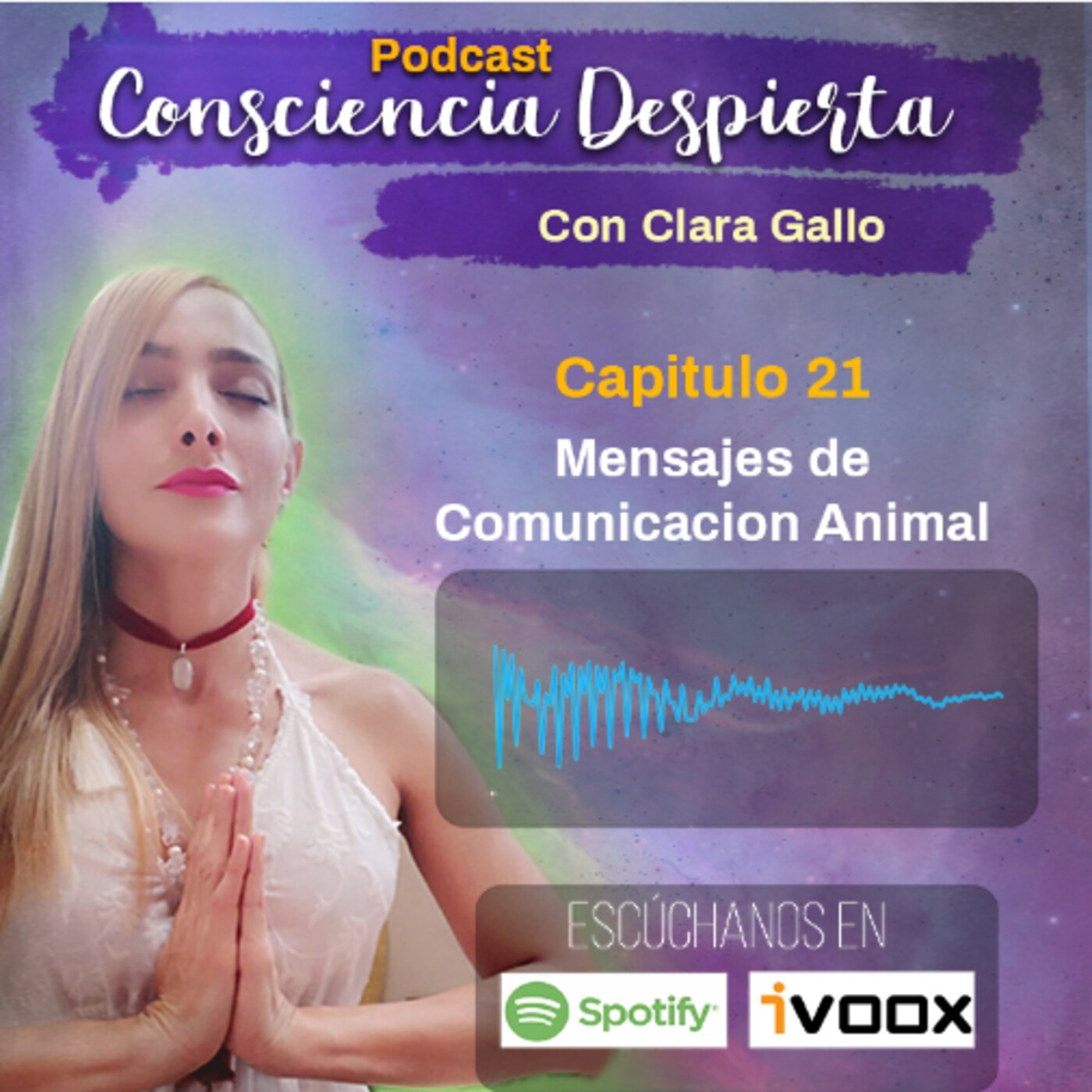 Consciencia Despierta