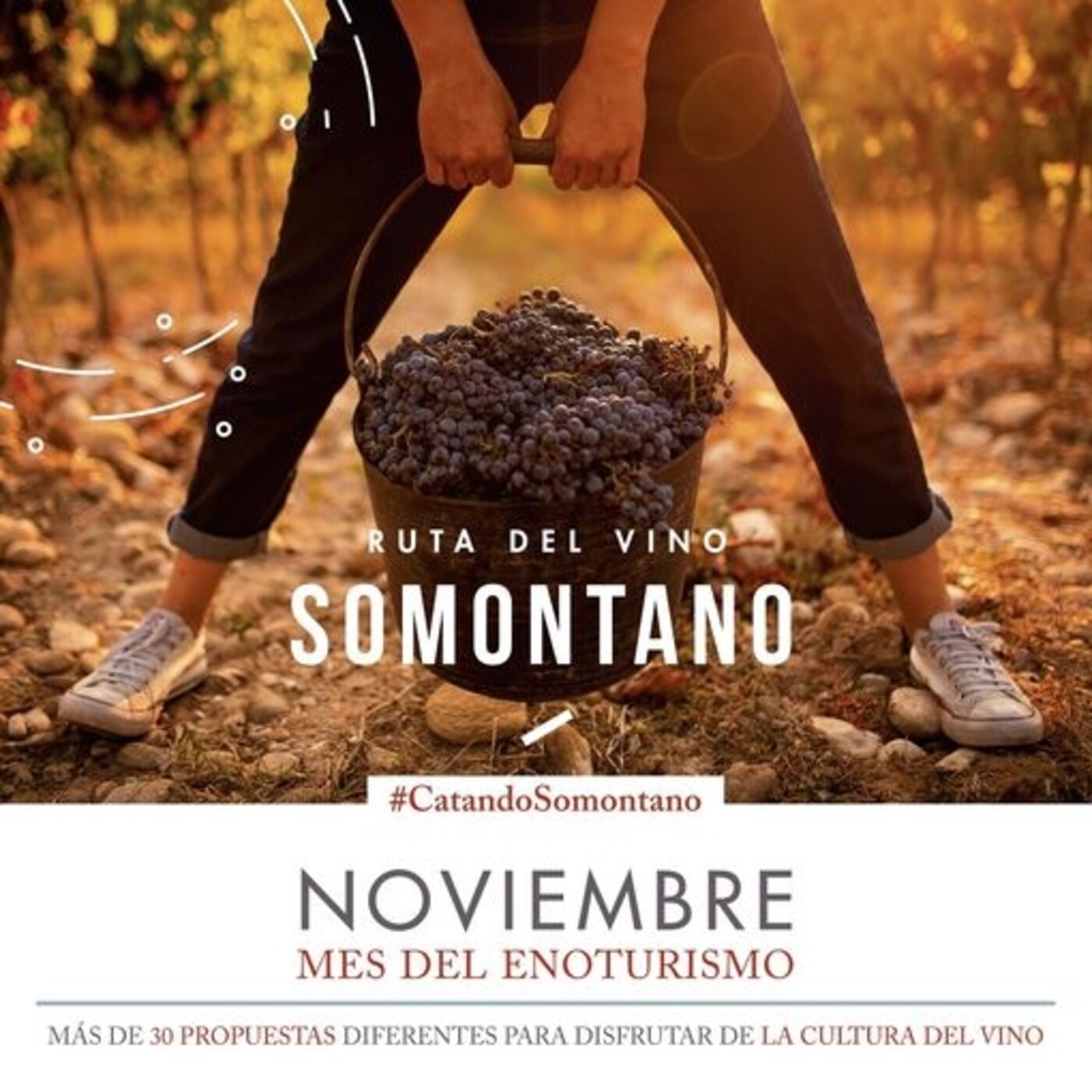 En Buena Compañía con.... Clara Bosch, gerente de la Ruta del Vino Somontano episode artwork