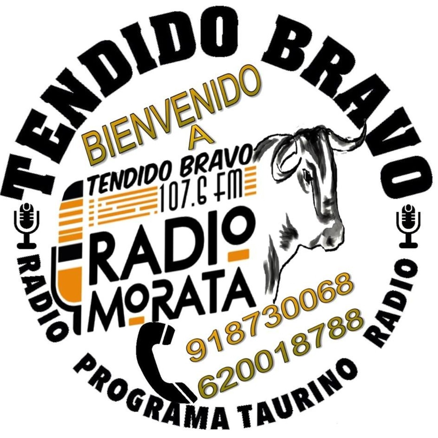 TENDIDO BRAVO
