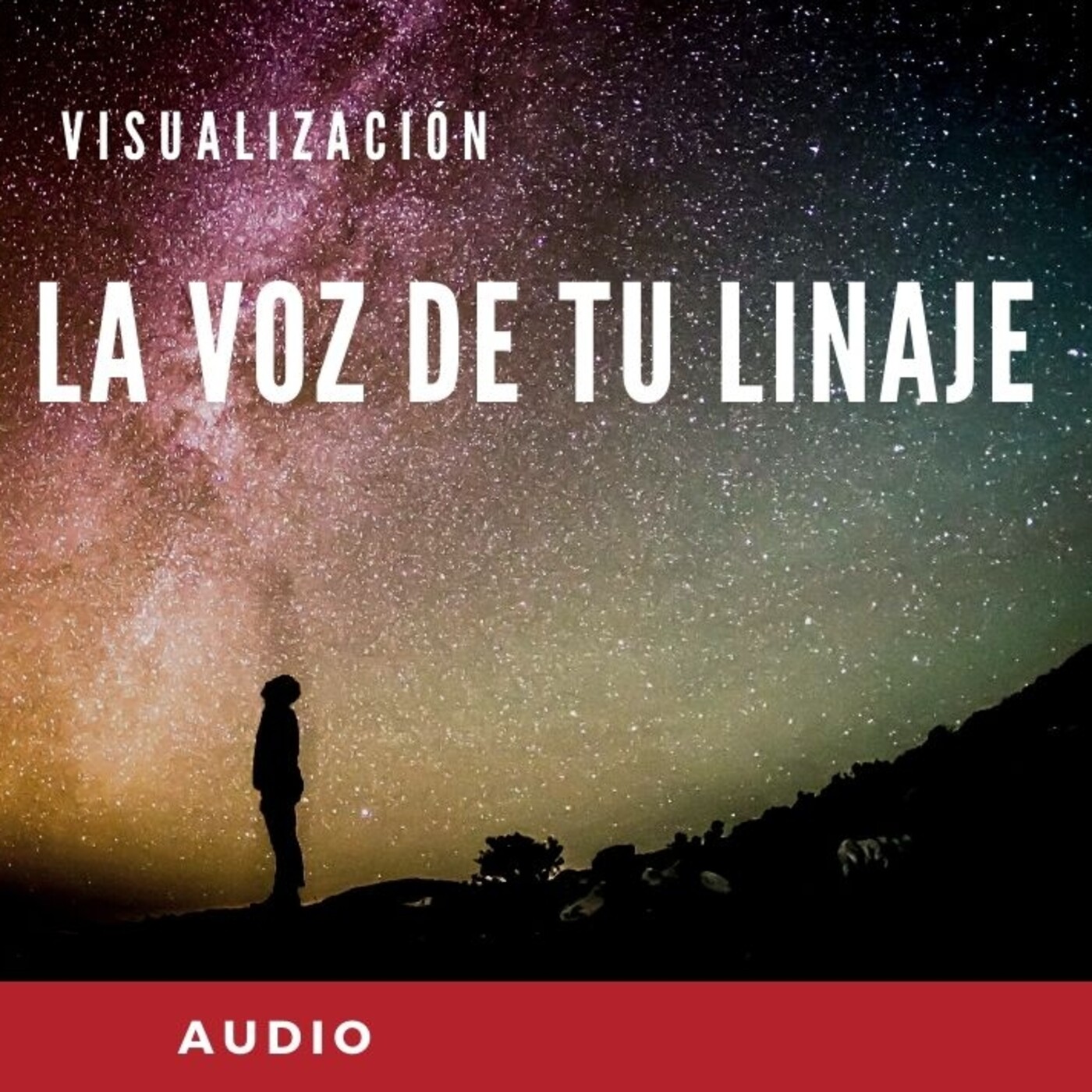 Visualización de María José Mochón