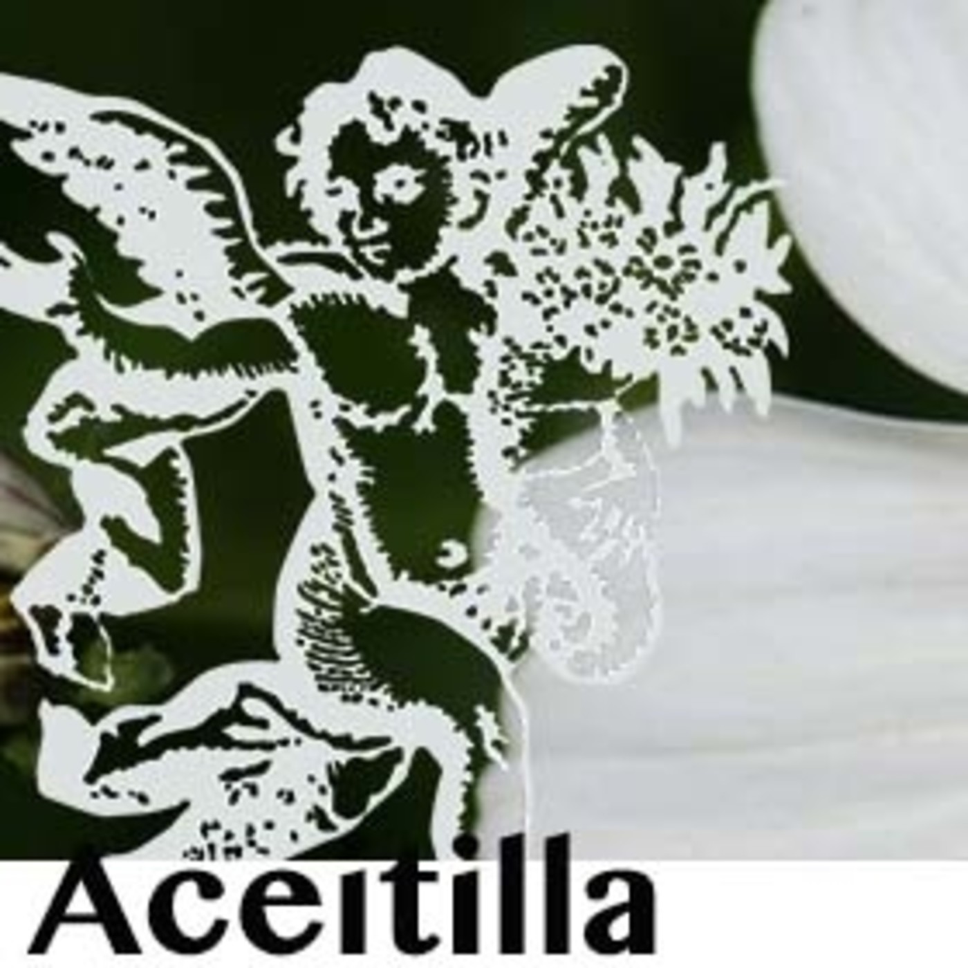 El Angel de tu Salud - ACEITILLA I episode artwork