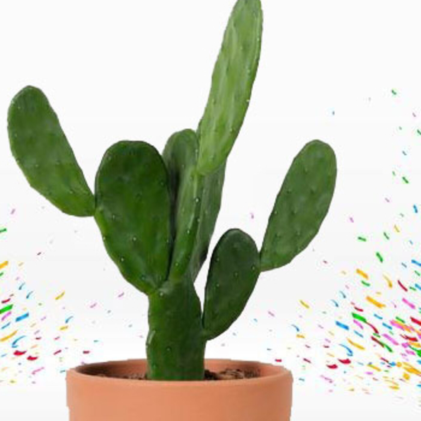 Cactus Confetti