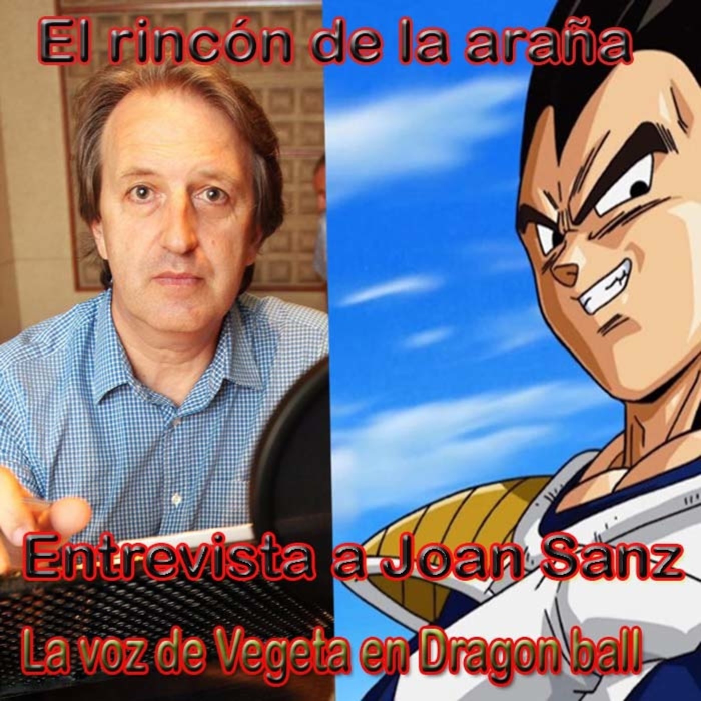 El Rincón De La Araña