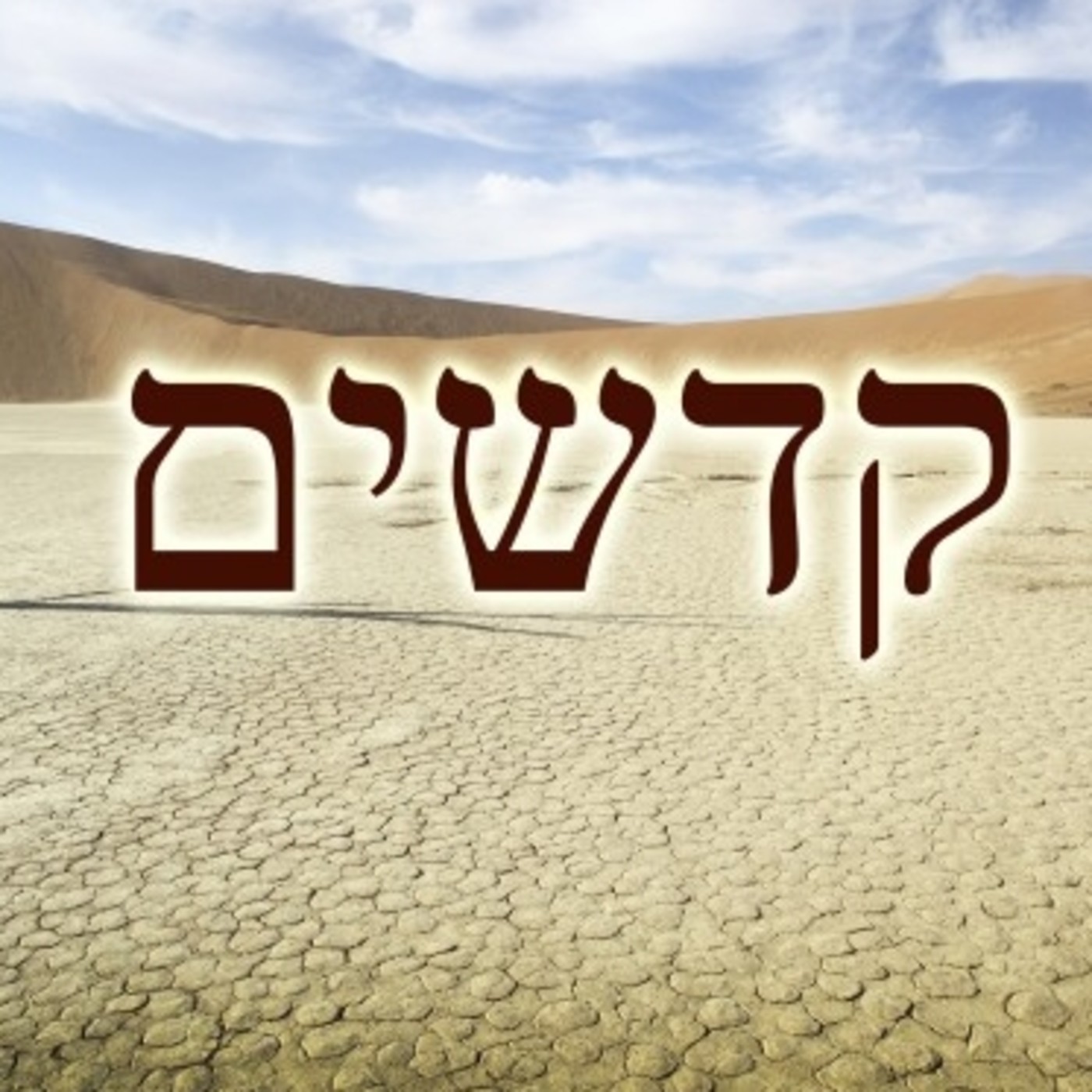 PARASHAT 30 KEDOSHIM 2017.mp3 episode artwork
