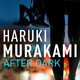 After dark, capítulo 14(2), Murakami