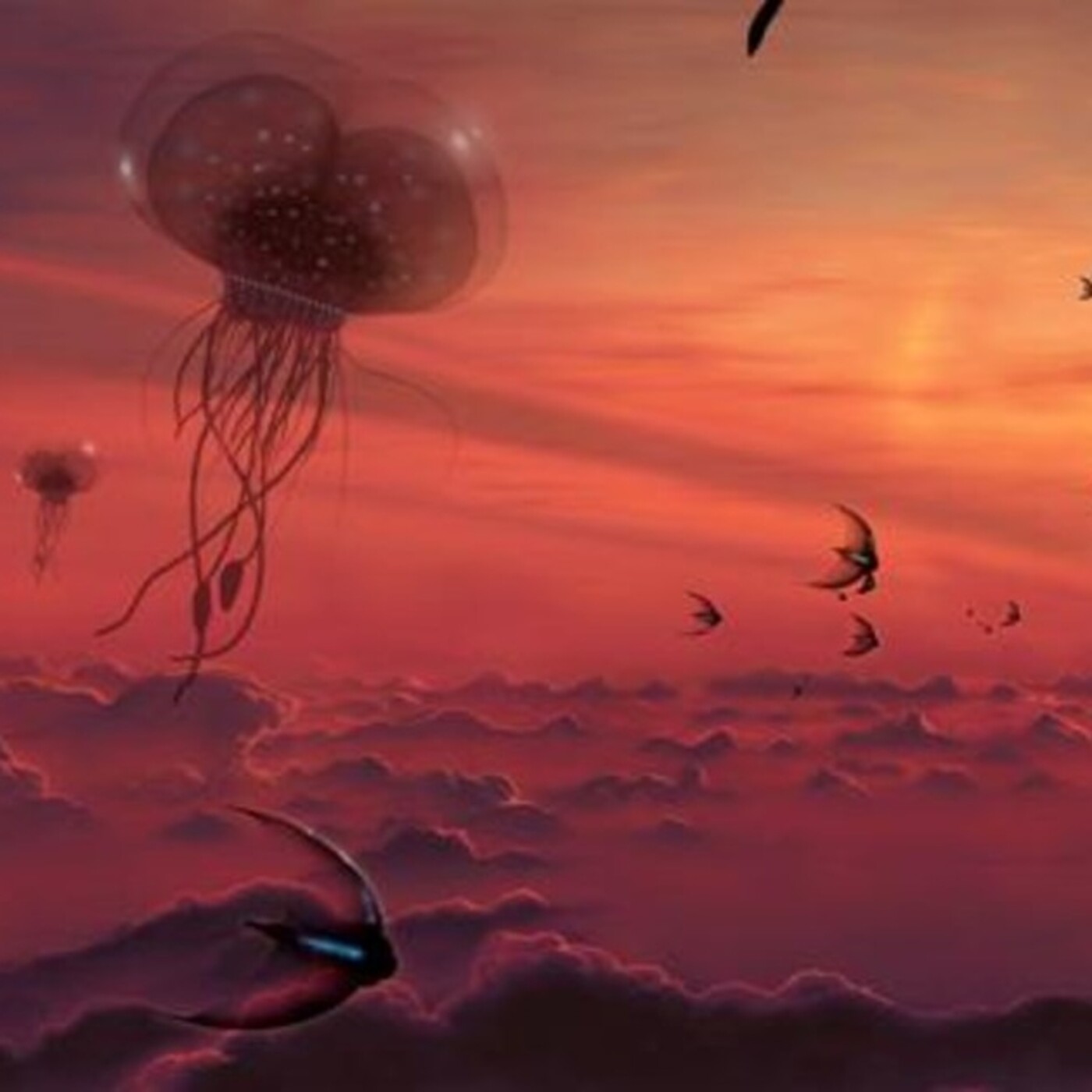 Misterioso universo en la red