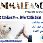 Animaleando "Programa de Apertura"