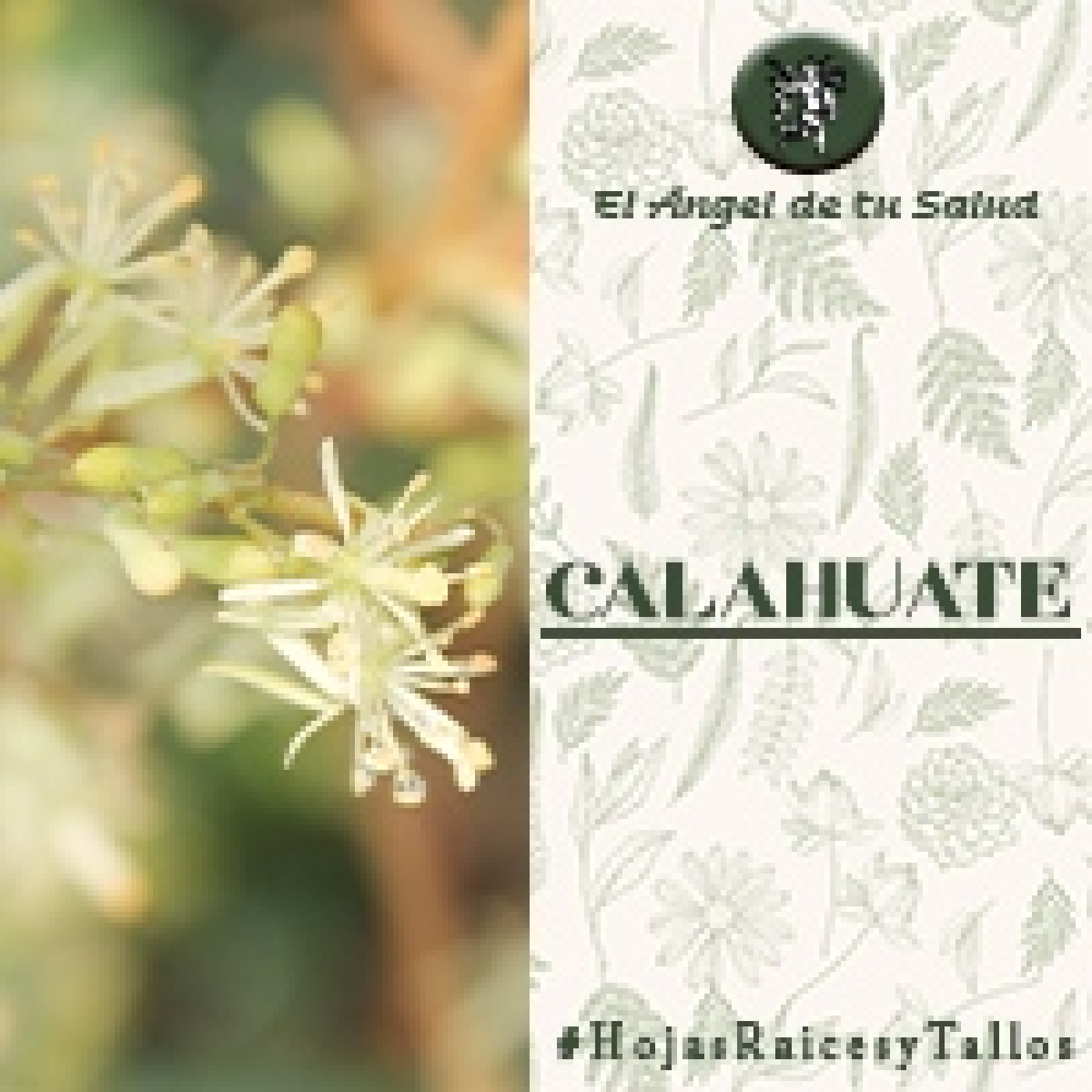 El Ángel de tu Salud - Calahuate** episode artwork