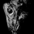 Los Diablitos de la Carne