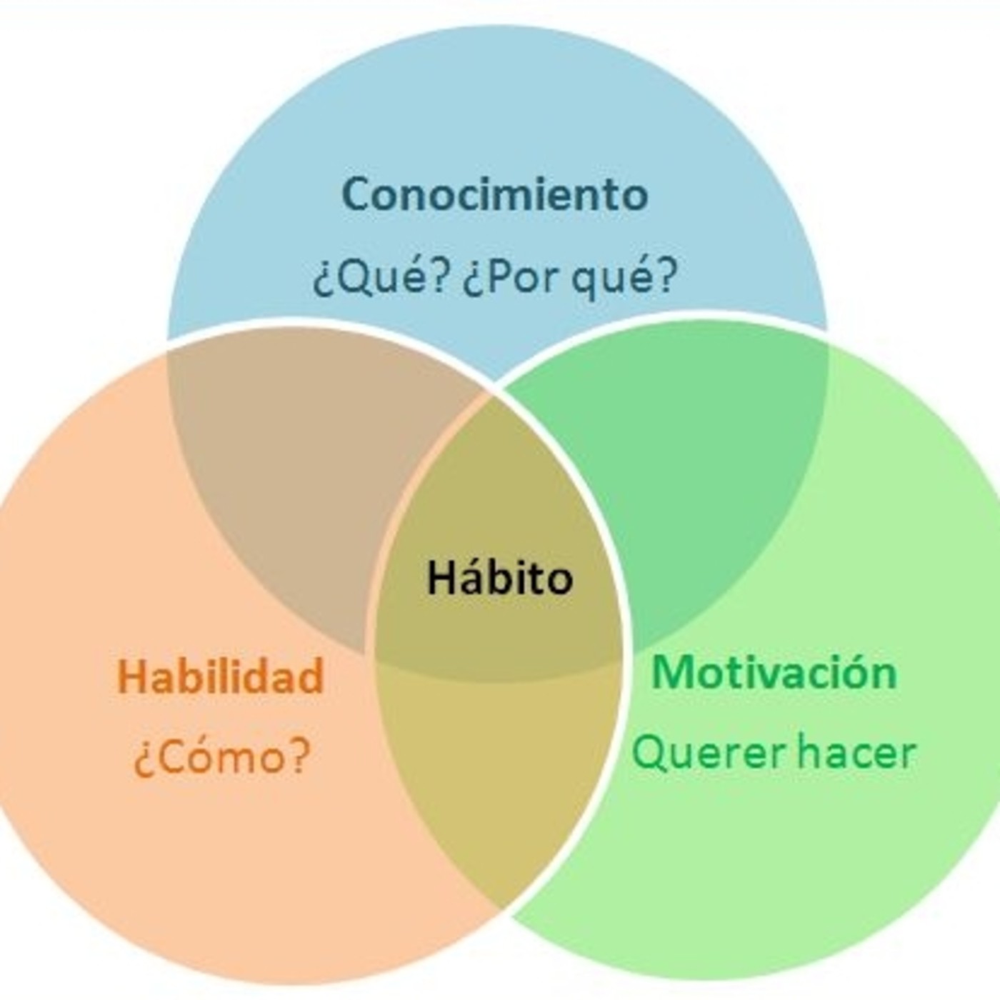 REUNIÓN BASE HÁBITOS