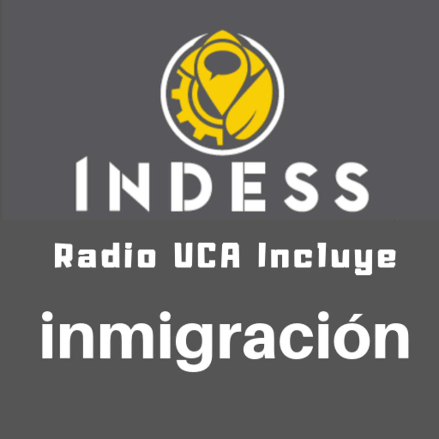 ¿Que son los CIES? episode artwork