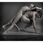Tao del amor