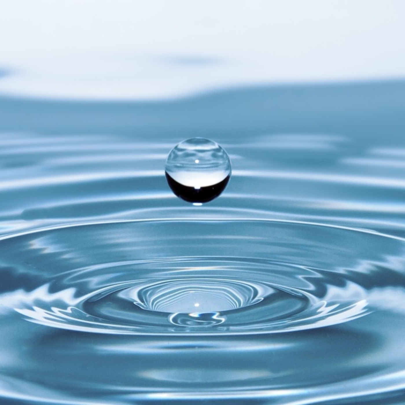 Roger Àlvarez Meditación