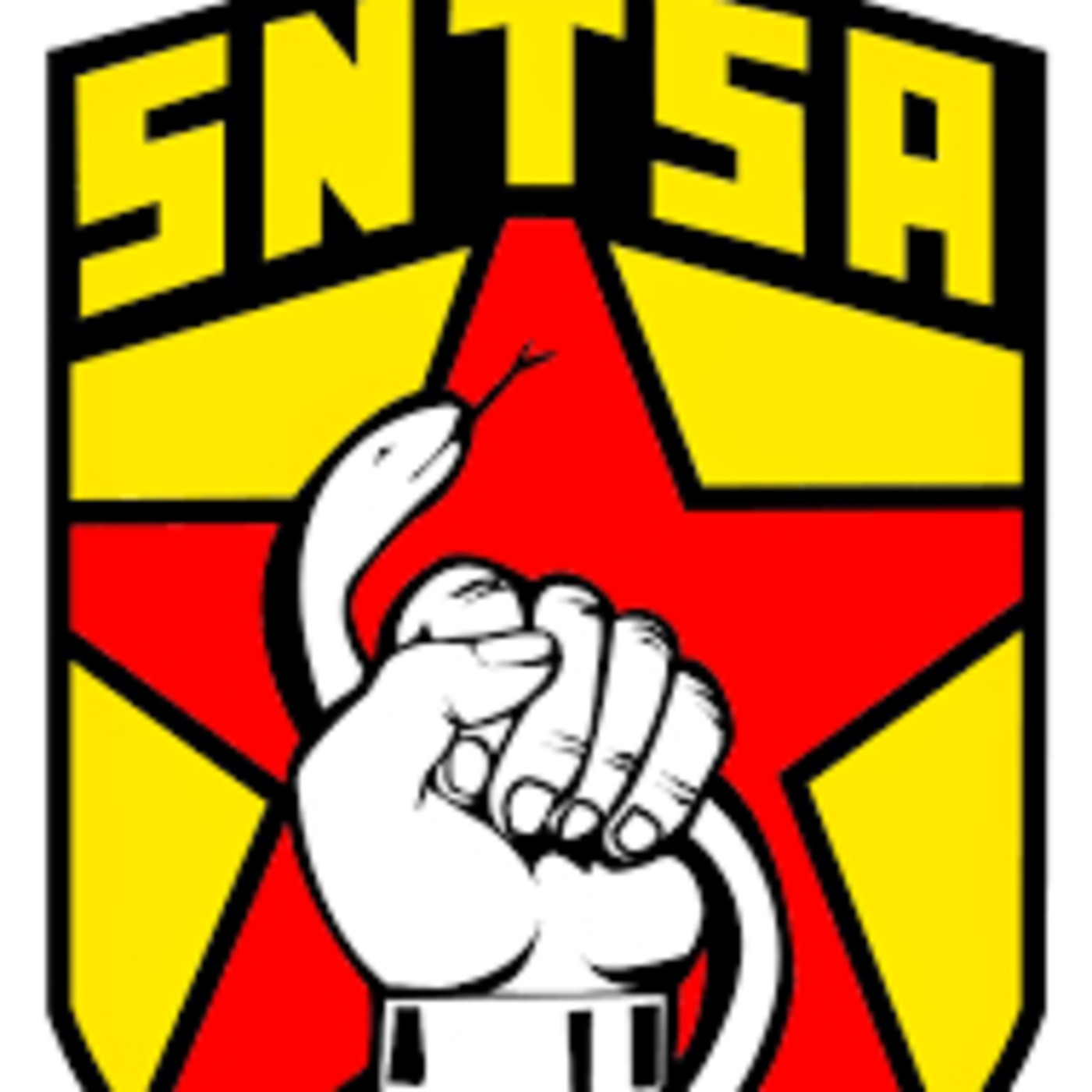 SNTSA Sección XXV