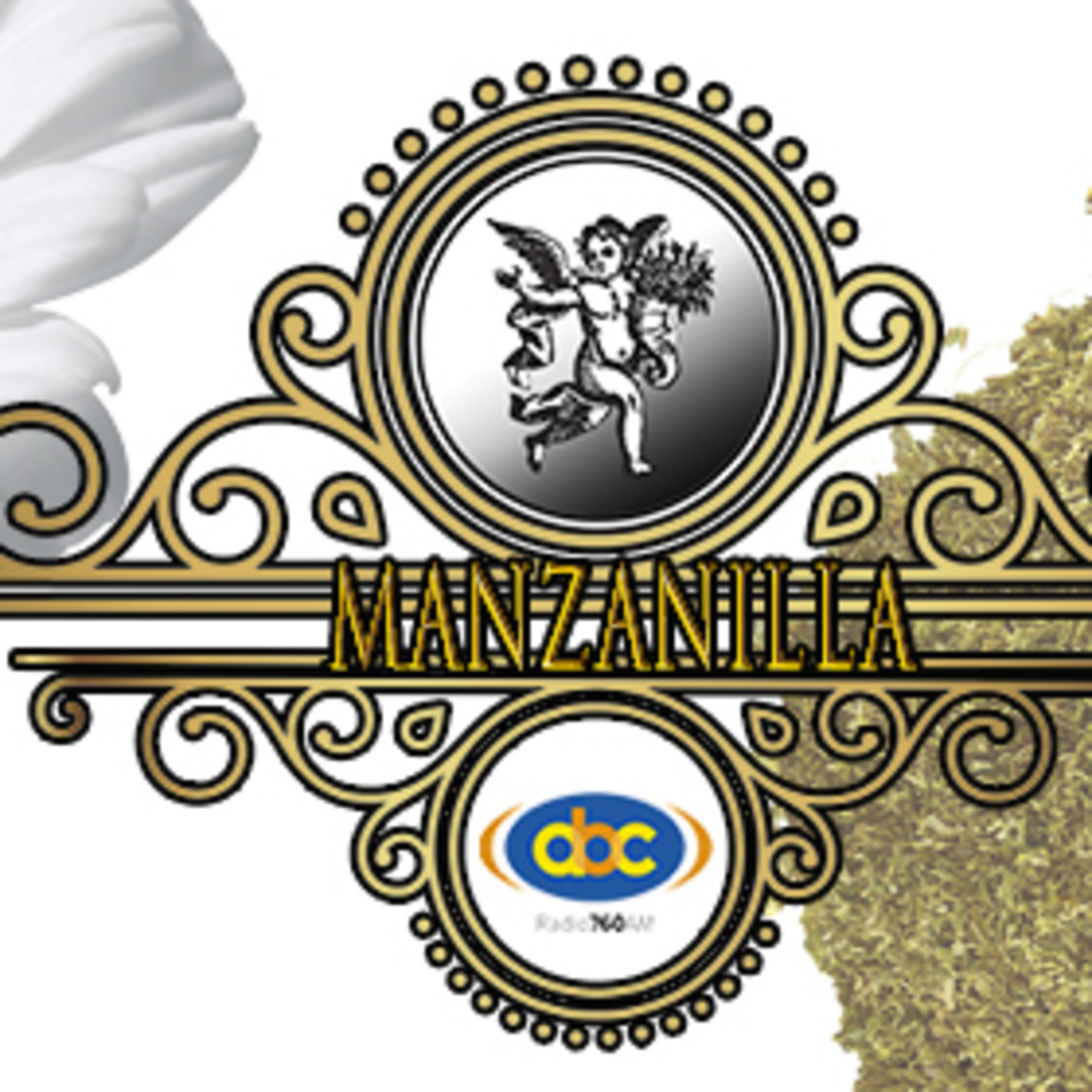 El Ángel de tu Salud - MANZANILLA POLEN II episode artwork
