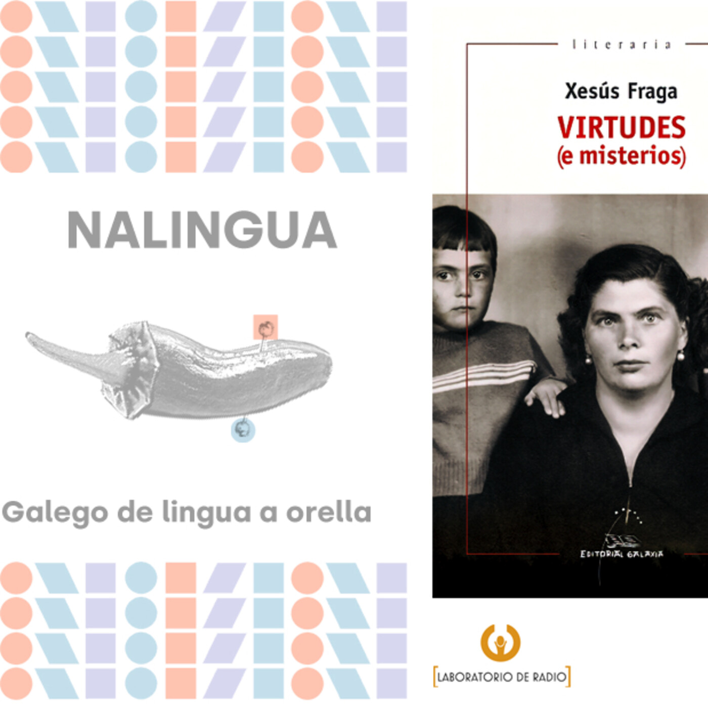 NALINGUA, lecturas dun neofalante