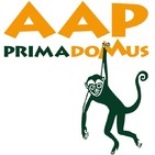 Marta Merchán, directora de Primadomus, en Radio Villena SER