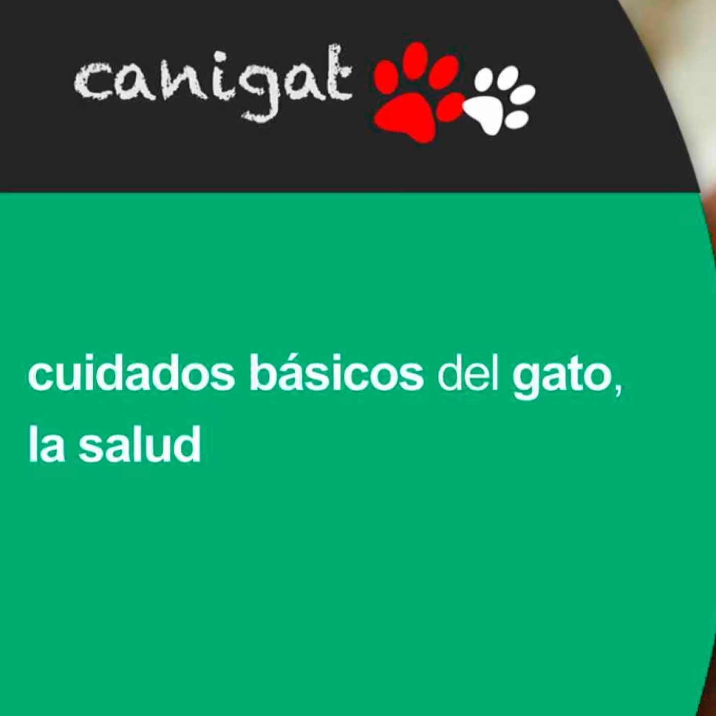 Consejos veterinarios de perros y gatos by canigat