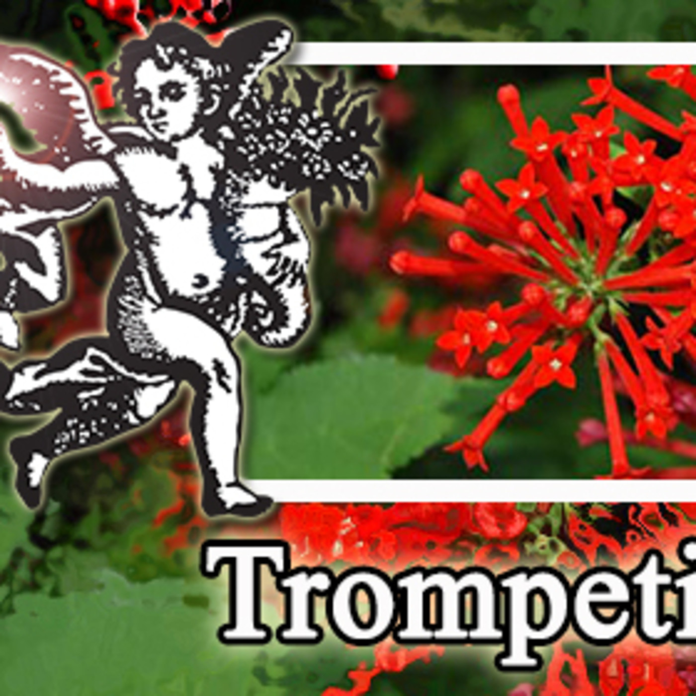 El Ángel de tu Salud - TROMPETILLA episode artwork