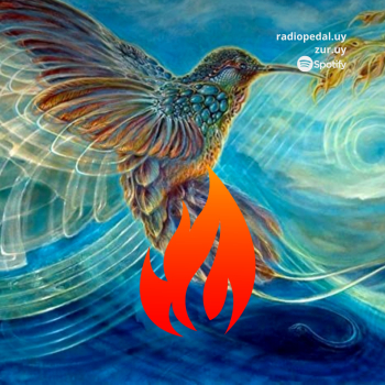 embed image
