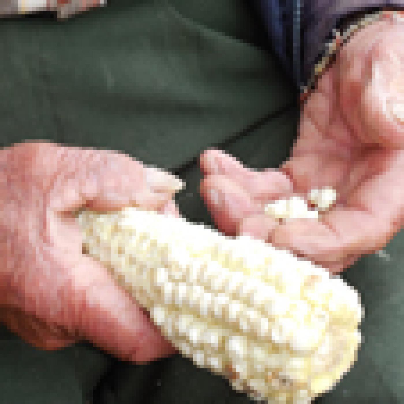 EL CAMPO, UNA DESPENSA PARA DAR Y CONVIDAR