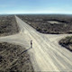Jonny Wilkinson, "el caminante"