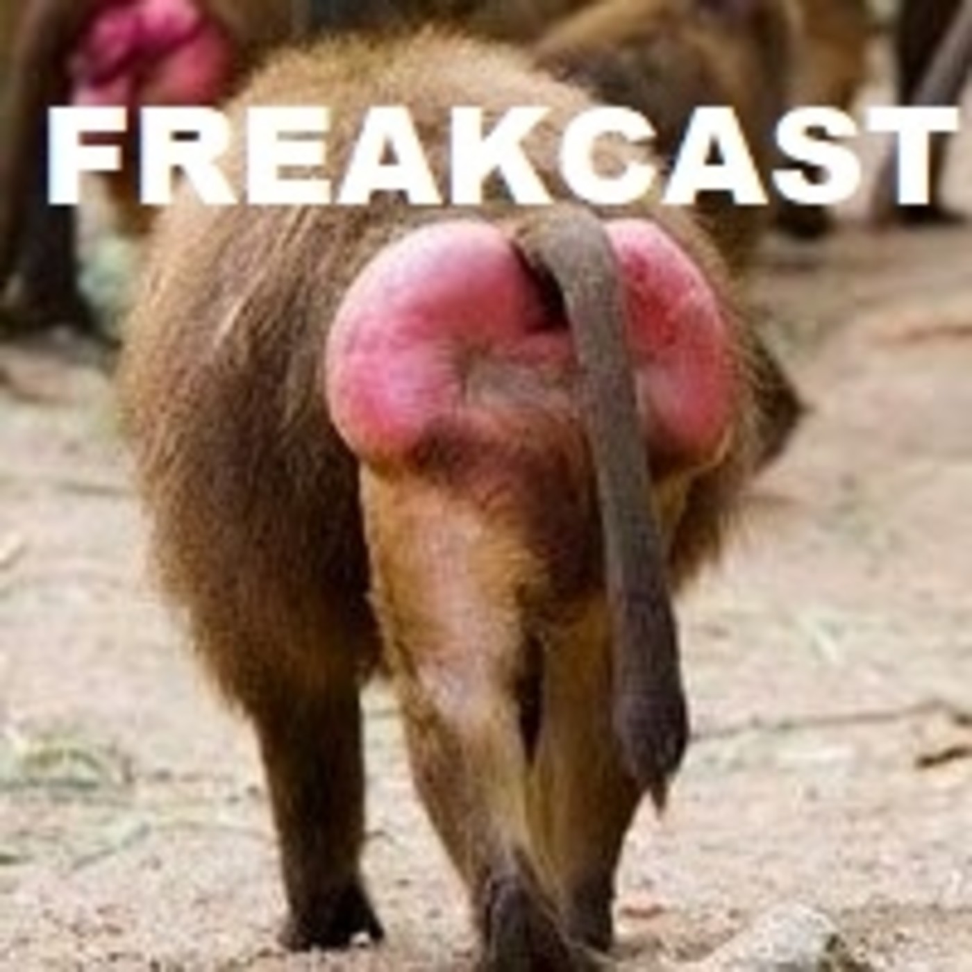 FreakCast classic