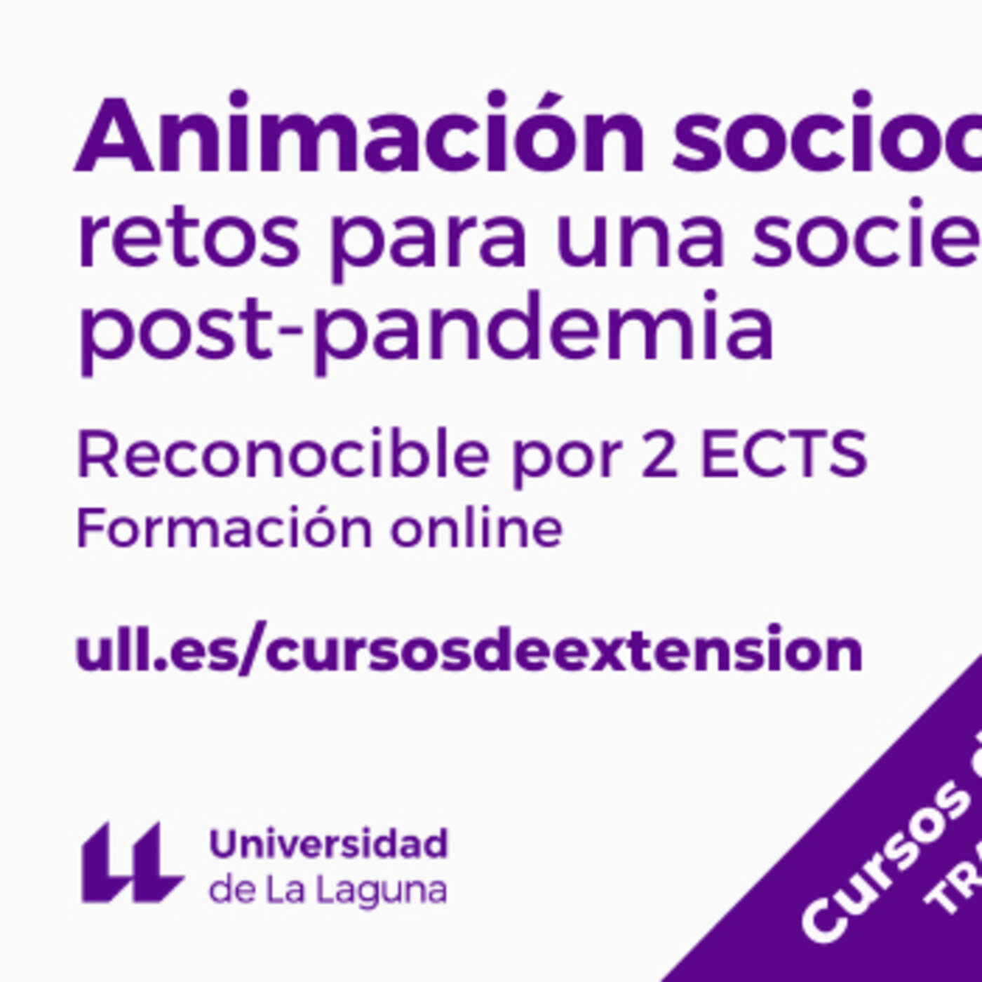 Cursos interdisciplinares y transdisciplinares