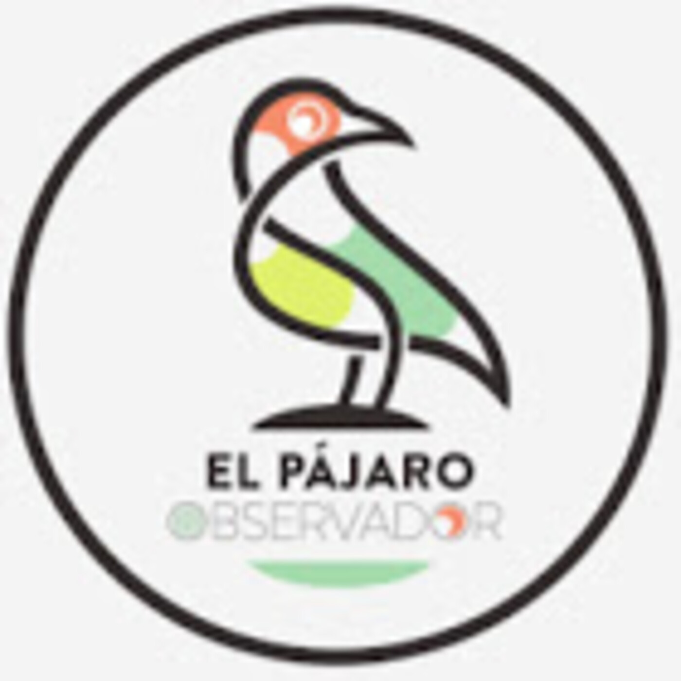 El Pájaro Observador